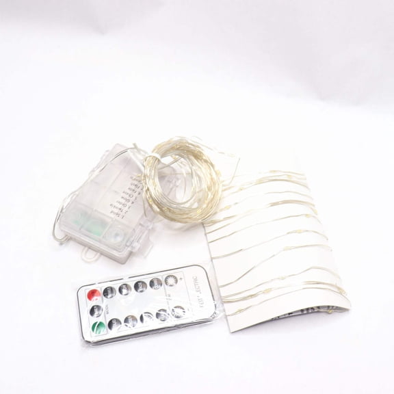 Feit Electric Fairy String Light With Remote Warm White 30FT FY30-100/WW/SLV