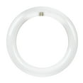 thumbnail image 1 of Feit Plug & Play T9 Cool White 1.2 in. G10Q Circular LED Bulb 22 Watt Equivalence 1 pk, 1 of 8