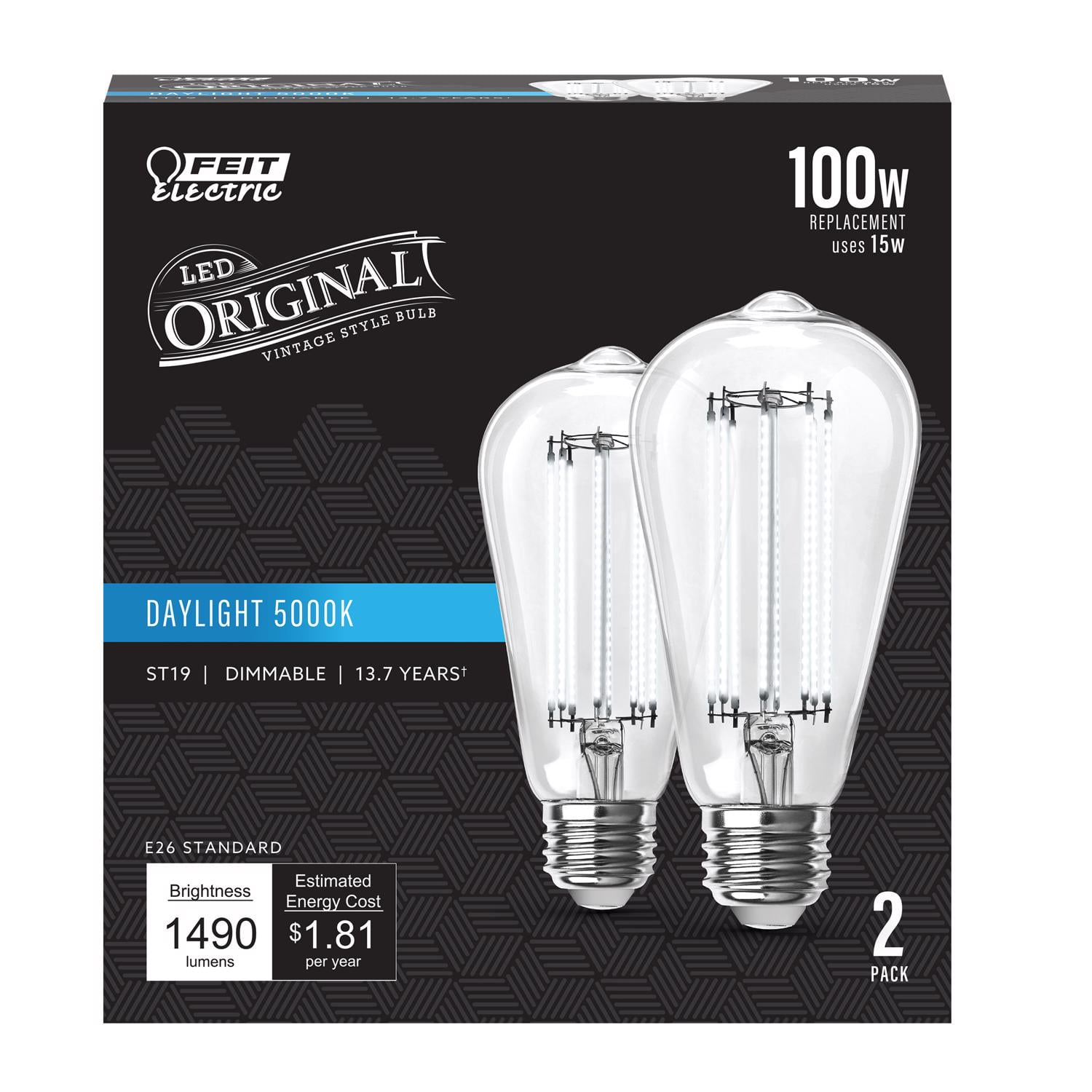 Clear Glass Daylight LED Filament Bulb 100W Equivalent