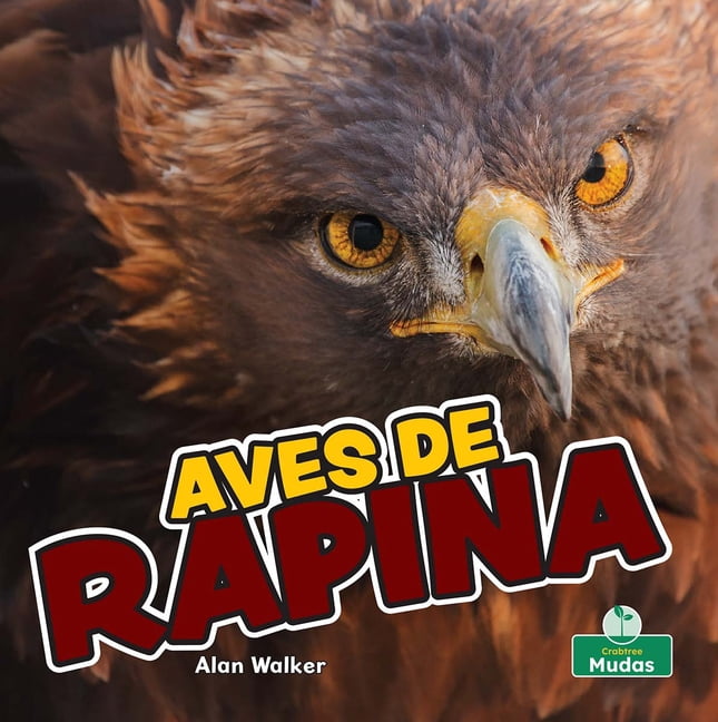 Feitos Para Sobreviver (Built to Survive Aves de Rapina (Birds of Prey), (Paperback)
