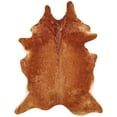 thumbnail image 1 of Feizy Bartlett Transitional Animal Print, Brown, Large Shaped Rug Easy Care Kid Friendly Sheen Cabin & Lodge Design Carpet for Living Dining Bed Room, 1 of 5