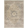 thumbnail image 1 of Feizy Grayson Transitional Medallion, Gray/Tan/Red, 7'10" x 10'6" Area Rug Easy Care Stain Resistant Fade Resistant Bohemian & Eclectic Distressed Floor Rug for Living room Bedroom, 1 of 8