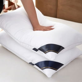 20x30 pillow walmart best sale