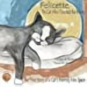Felicette, The Cat Who Touched the Moon: The True Story of a Cat's Journey Into Space (Paperback) by Dawn Marie Aerts