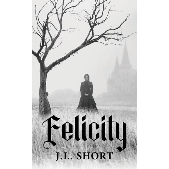 Felicity, (Paperback)