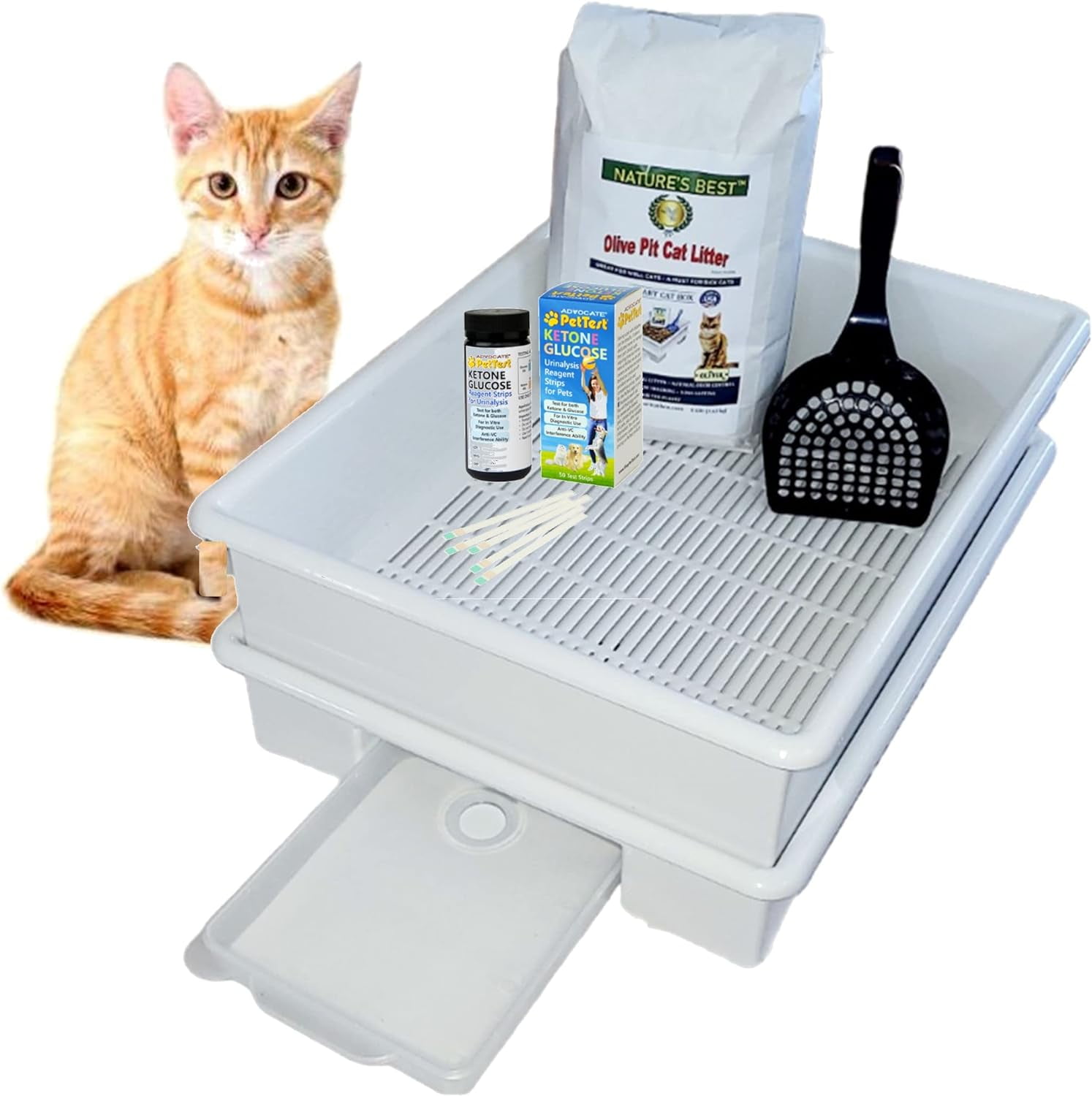 Feline Diabetes Cat Litter Box Urine Collection System for Easy at