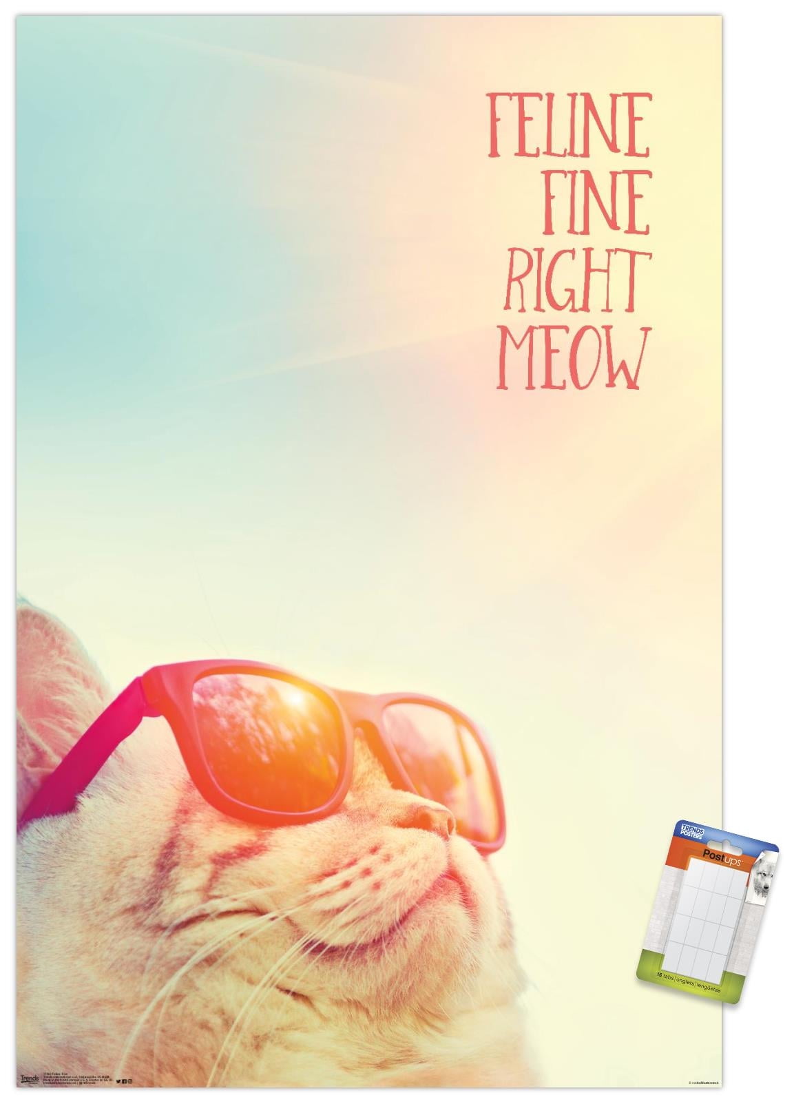 Feline Fine Right Meow Wall Poster, 14.725" x 22.375"