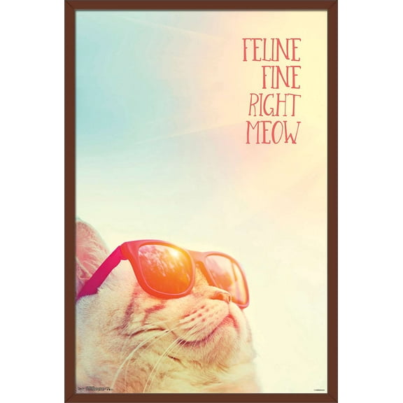 Feline Fine Right Meow Wall Poster, 22.375" x 34", Framed