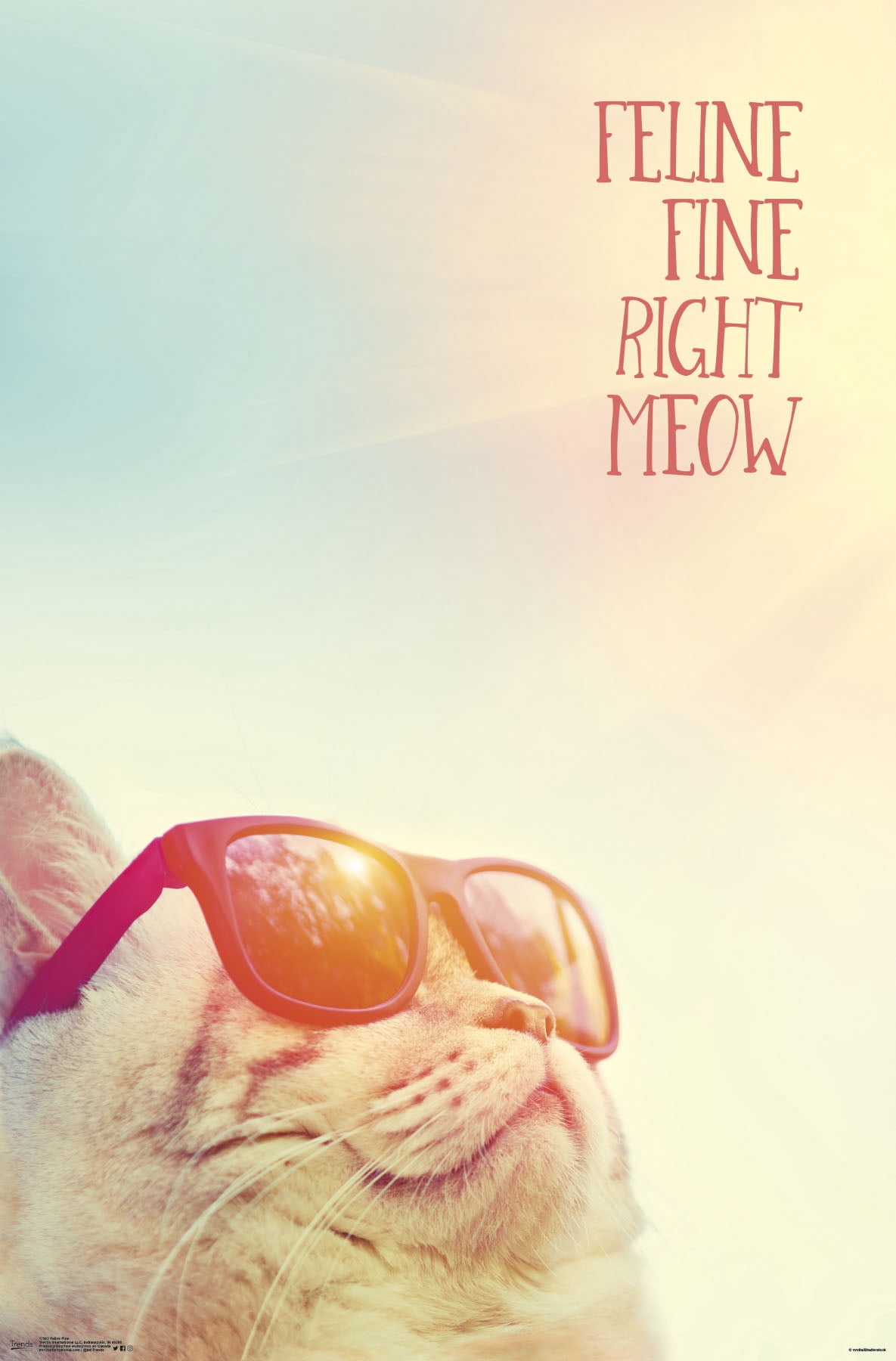 Feline Fine Right Meow Wall Poster, 22.375" x 34"