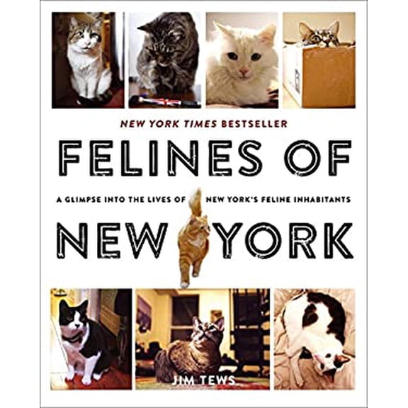 Pre-Owned Felines of New York: A Glimpse Into the Lives of New York's Feline Inhabitants, 9781501125836, 1501125834, Paperback,