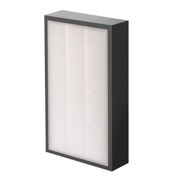 Fellowes® AeraMax® Pro AM2 True HEPA 1-3/4" Filter, For AeraMax® Pro AM2 Air Purifier, Pack of 1