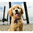 thumbnail image 1 of Fellowes, FEL5916401, Recycled Mouse Pad - Puppy at Beach, 1, Multicolor, 1 of 2