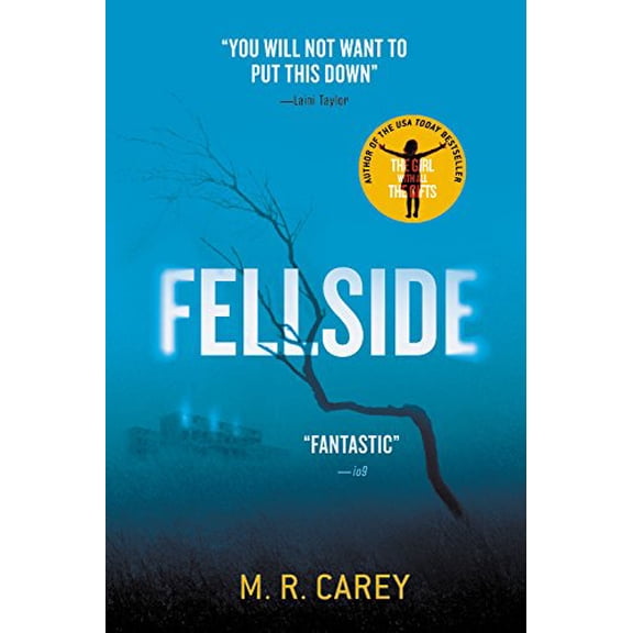 Pre-Owned Fellside (Paperback) 0316300276 9780316300278