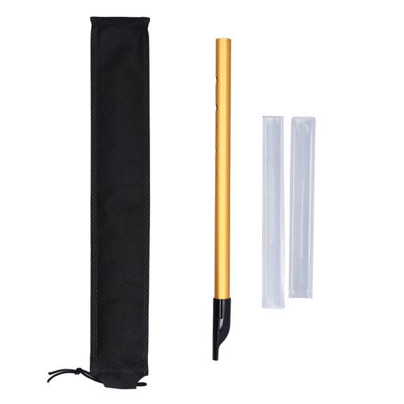 Felmuzaro Portable Alloy Flute C Tune Professional Grade Woodwind Instrument with Storage Box Gold Finish for Music Enthusiasts and Rehearsals