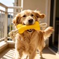 thumbnail image 1 of Felt Bone Rope Chew Toy for Dogs and Cats, Durable Non Woven Pet Toy for Interactive Training and Teeth Grinding, Soft and Fun Design, 1 of 6