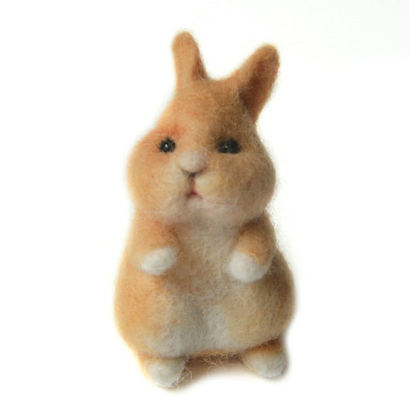Feltsky Rabbit Needle Felting Kit for Beginners Easy Steps to Make with Everything, Christmas for Mom