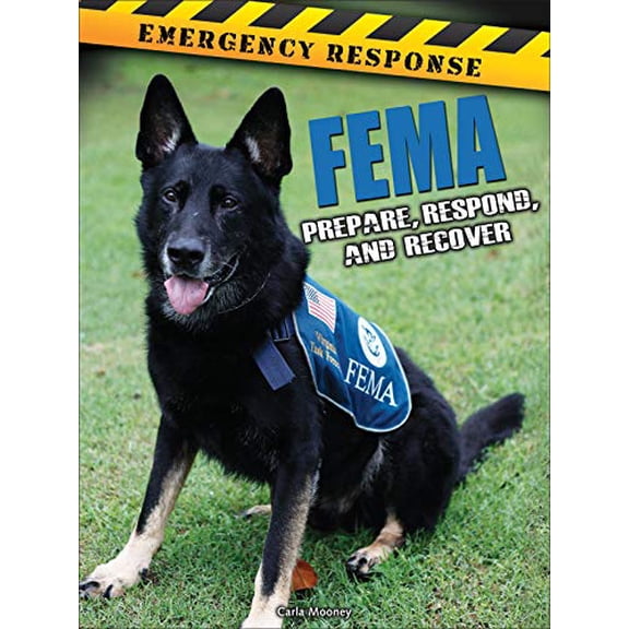 Pre-Owned Fema: Prepare, Respond, and Recover (Paperback) 1627177787 9781627177788