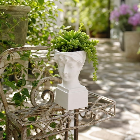 Female Head Shaped Planter, Nordic Style Bust Flower Pot For Succulents And Indoor Plant Display