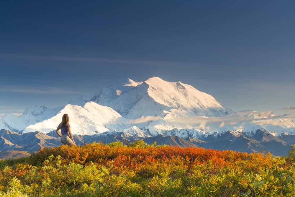 Female Hiker On Fall Colored Tundra And Enjoying A Clear View Of Mt Mckinley And Alaska Range Denali National Park & Preserve Interior Alaska Canvas Art - Michael DeYoung Design Pics (17 x 11)