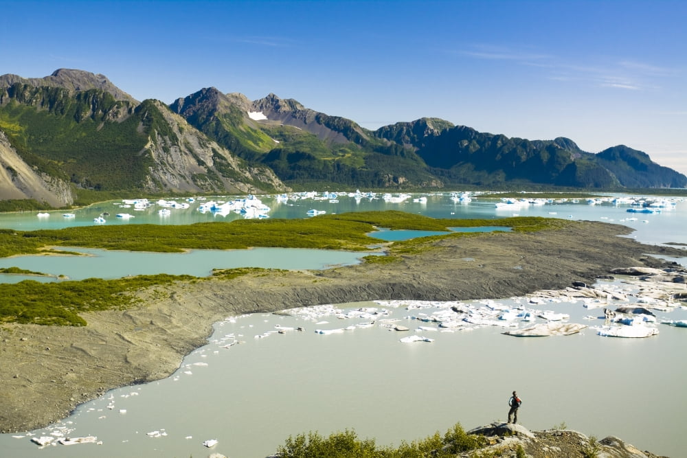 Female Hiker Overlooks Bear Glacier Lake In Kenai Fjords National Park Kenai Peninsula Southcentral Alaska Summer Canvas Art - Michael DeYoung Design Pics (17 x 11)