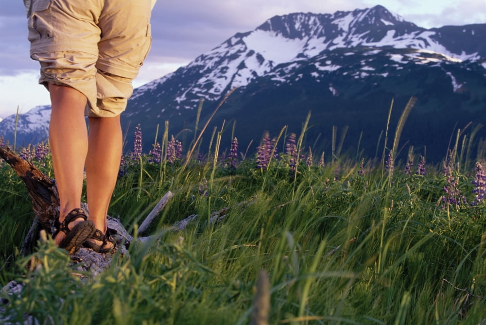 Female Hiker Standing On Log Along Turnagain Arm Ak Canvas Art - Michael DeYoung Design Pics (17 x 11)