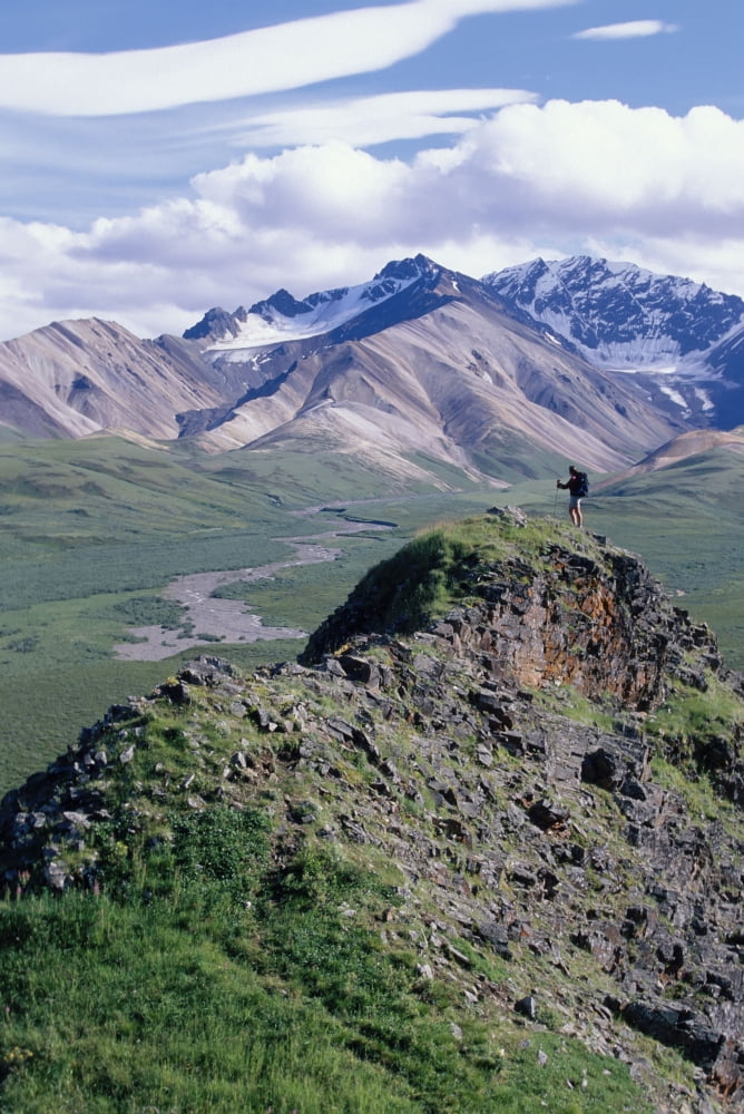 Female Hiker Viewing Valley At Polychrome Pass Dnp Ak Canvas Art - Michael DeYoung Design Pics (11 x 17)
