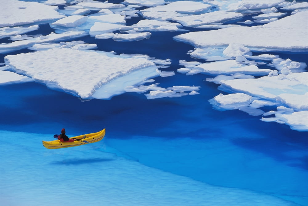 Female Kayaker Navigates Through A Melt Pond In The Juneau Nicefield Coast Mountains Tongass National Forest Southeast Alaska Summer Canvas Art - John Hyde Design Pics (36 x 24)
