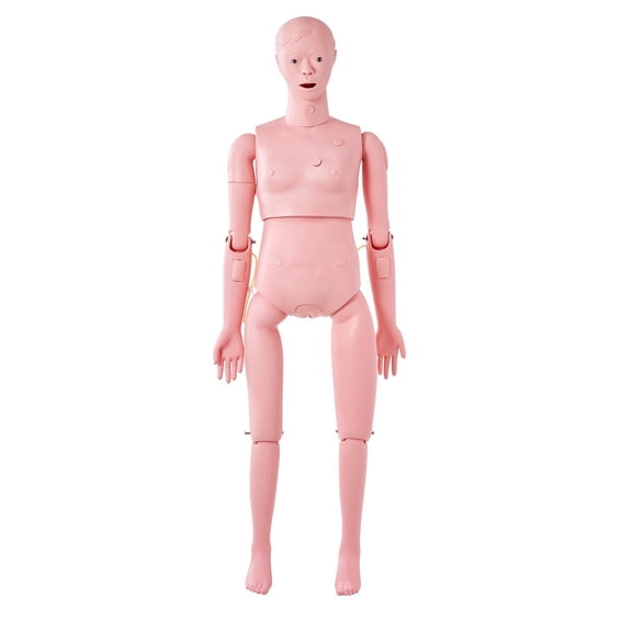 Female Life Size Nursing Training Manikin PVC Anatomical Simulator Multifunctional Education Teaching Model