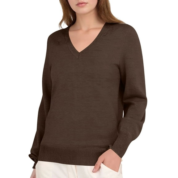 Female Long Sleeve V Neck Sweaters Fall Casual Classic Soft Loose Fit Basic Pullover Jumper Top Dark Coffee L