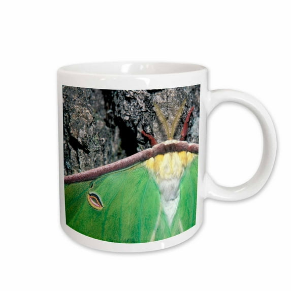 3drose, Female Luna Moth (actias Luna) - Na02 Aje0296 - Adam Jones, 11oz Mug