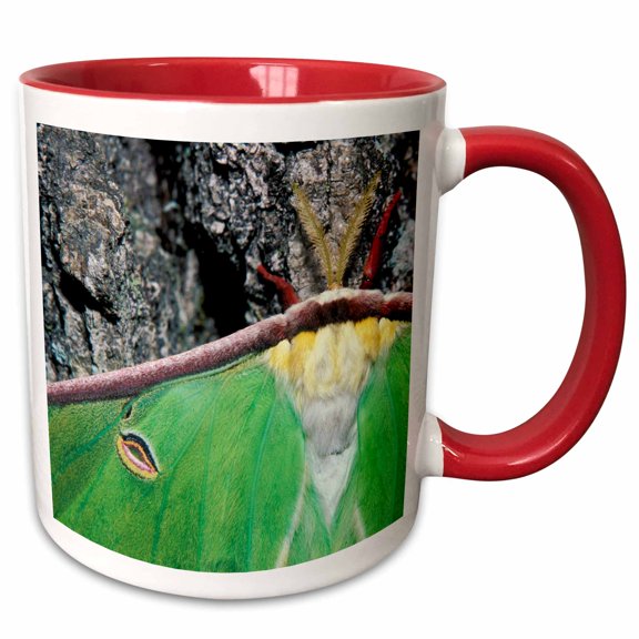 3drose, Female Luna Moth (actias Luna) - Na02 Aje0296 - Adam Jones, 11oz Two-tone Red Mug