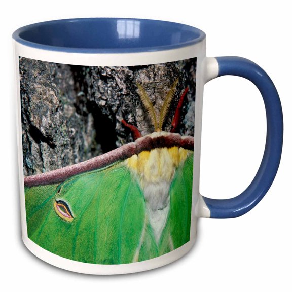 3drose, Female Luna Moth (actias Luna) - Na02 Aje0296 - Adam Jones, 15oz Two-tone Blue Mug