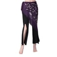 thumbnail image 1 of Female Mesh Hanging Belly Dance Hip Skirt Scarf Fussel  Sequins Tassel, 1 of 8