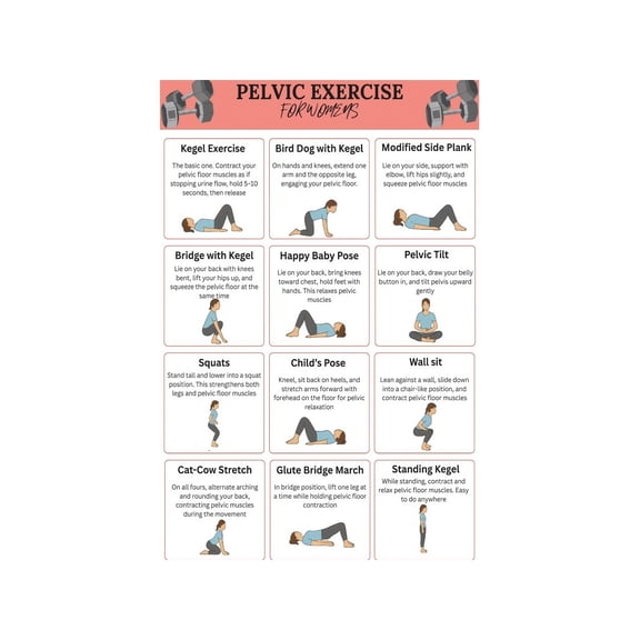 Female Pelvic Floor Workout Metal Sign Training Guide for Core Strength and Home Fitness Wall Art 8 X 12 in