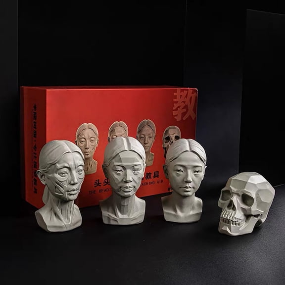 Anatomical Reference Muscle Skull Planar Original Heads Drawing Art Kit 4 Piece