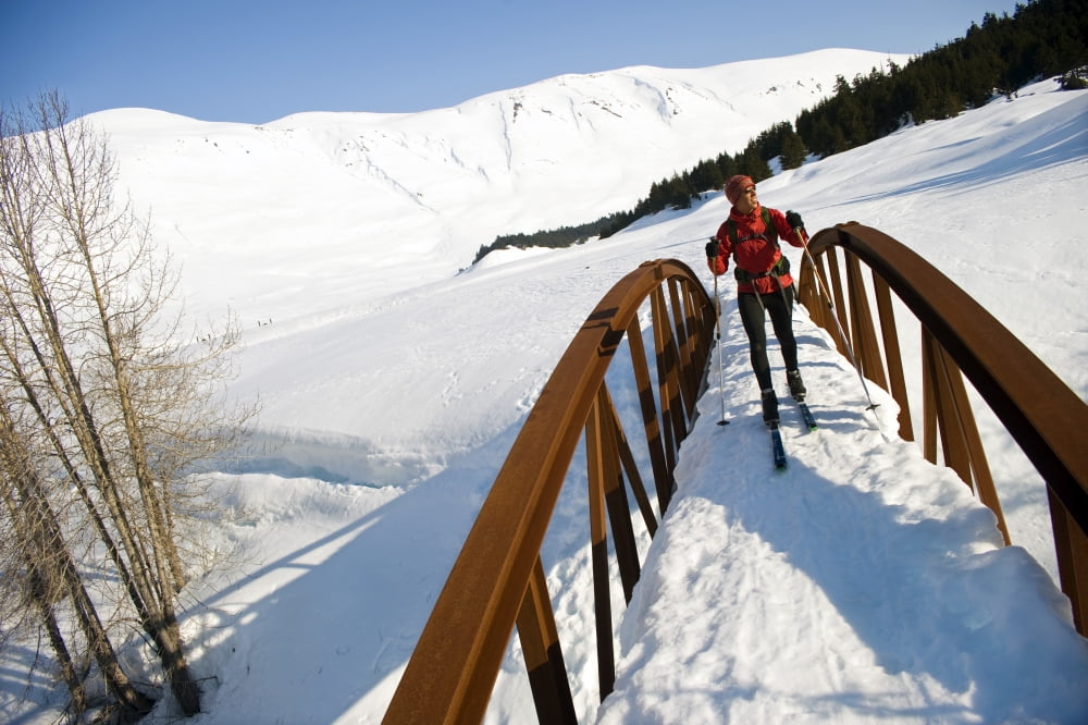 Female Skier Tours The Center Ridge Area In Turnagain Pass Of Chugach National Forest Alaska Canvas Art - Matt Hage Design Pics (17 x 11)