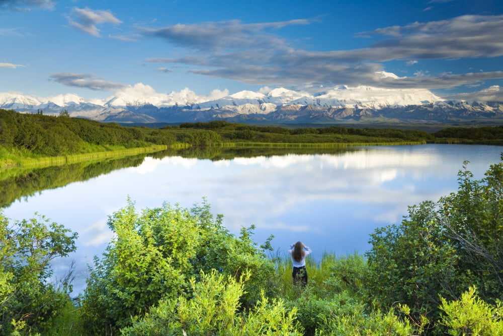 Female Tourist Viewing Mt Mckinley From The Edge Of Refleciion Pond In The Late Evening Denali National Park Interior Alaska Canvas Art - Michael DeYoung Design Pics (34 x 22)