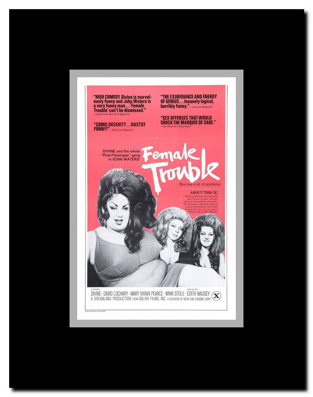 Female Trouble Framed Movie Poster