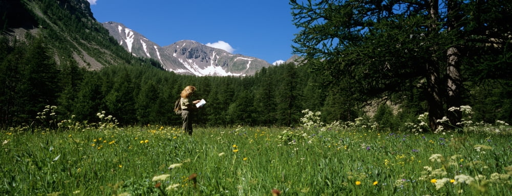 Female hiker holding a map in the forest Hinterland French Riviera Provence-Alpes-Cote dAzur France Canvas Art - Panoramic Images (27 x 9)