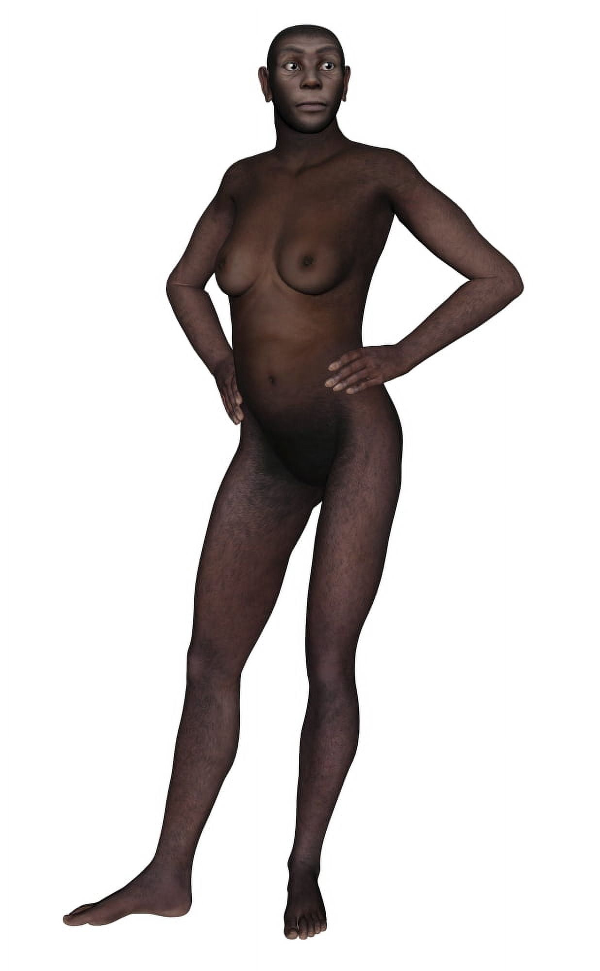 Female homo erectus standing Canvas Art - Elena DuvernayStocktrek Images (23 x 36)
