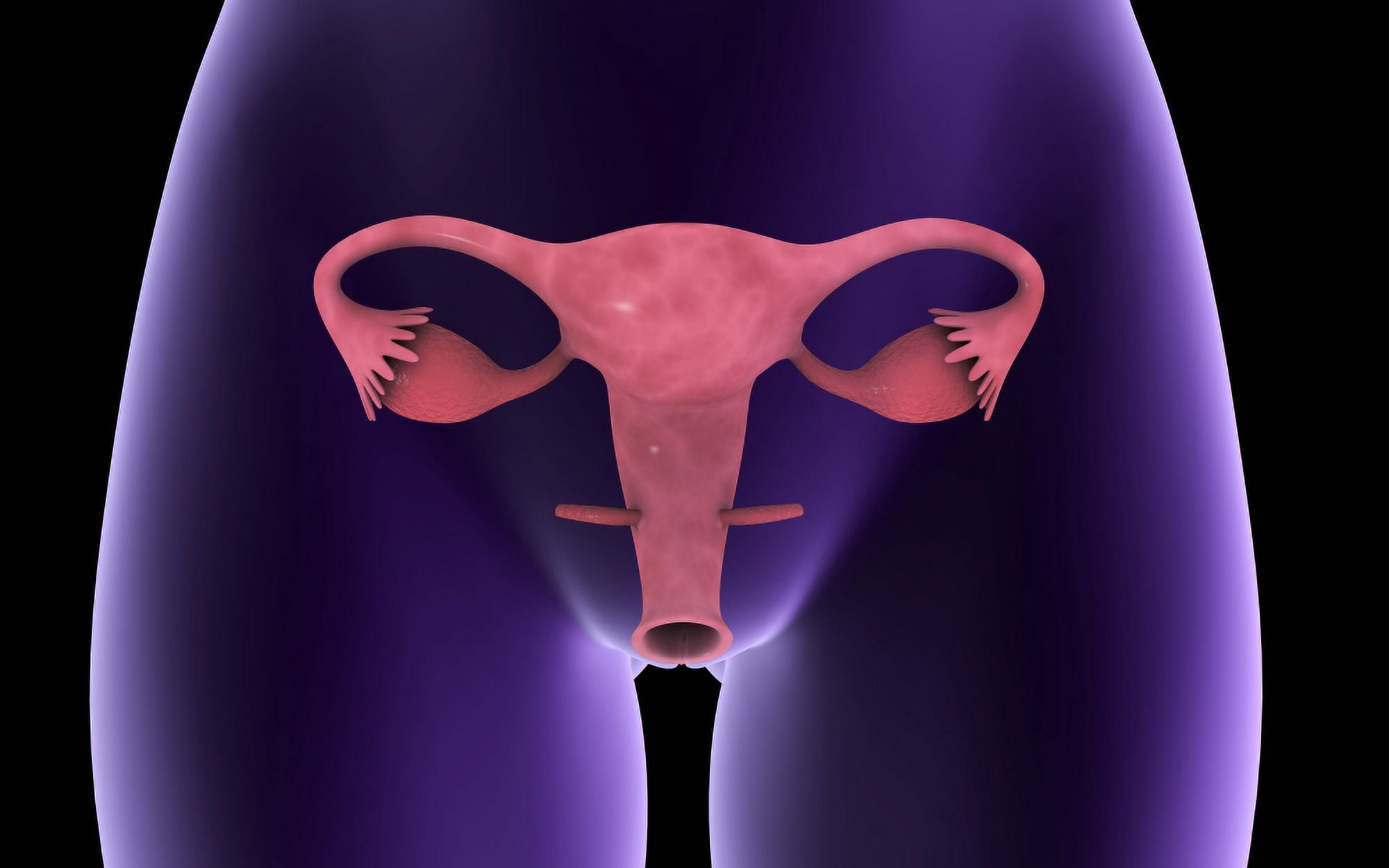 Female reproductive organ x-ray view Canvas Art - Stocktrek Images (36 x 23)