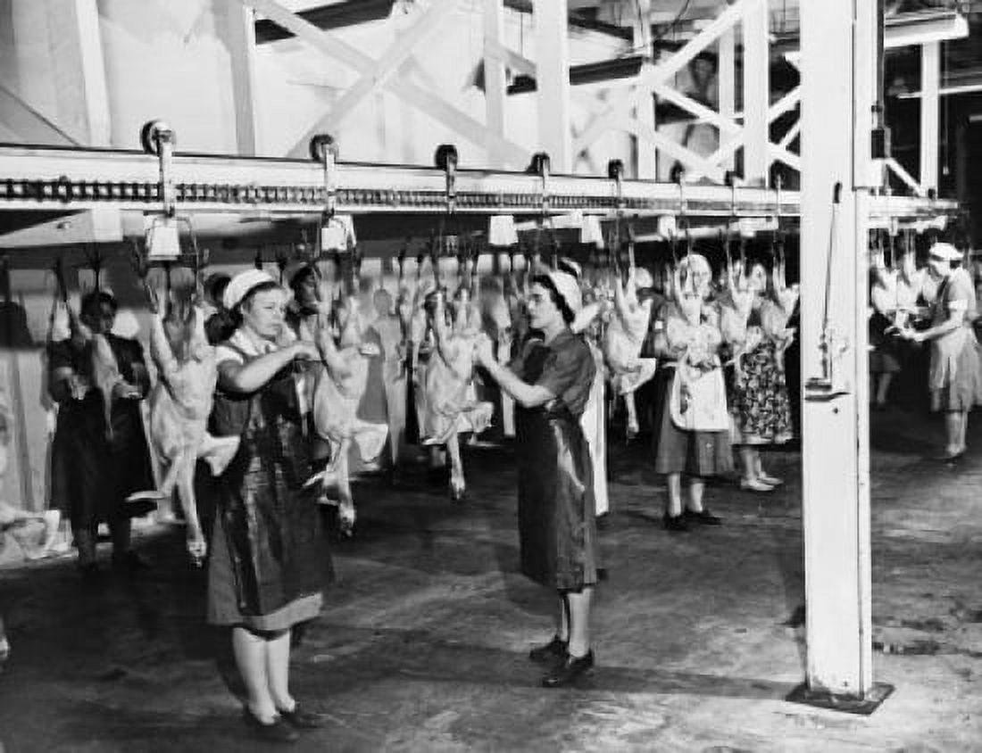 Female workers working in a turkey processing plant Frozen Food Plant Hillsboro Oregon USA Canvas Art -  (18 x 24)
