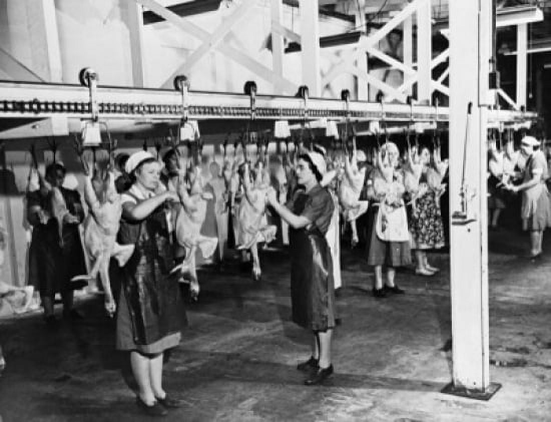 Female workers working in a turkey processing plant Frozen Food Plant Hillsboro Oregon USA Canvas Art - (24 x 36)
