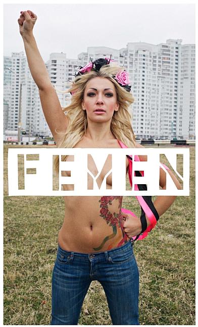 Femen (Hardcover) - image 1 of 1