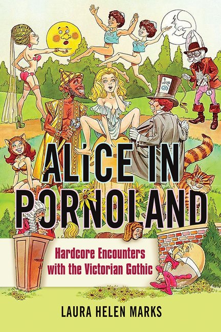 Victorian Hardcore Porn - Feminist Media Studies: Alice in Pornoland : Hardcore Encounters with the  Victorian Gothic (Paperback) - Walmart.com