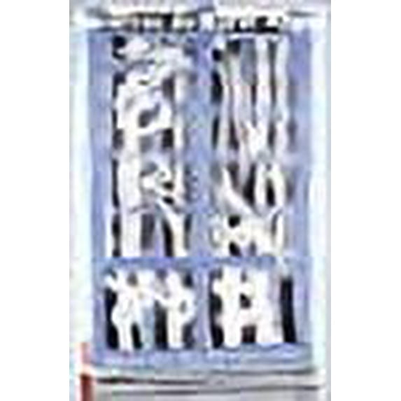 Fenêtres de Karel Appel