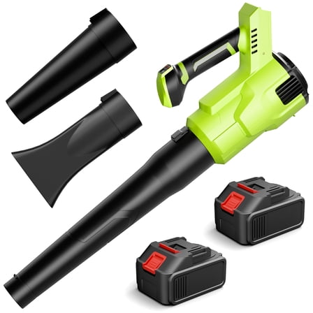 Fenbeli Leaf Blower Cordless with 2 Batteries, 450CFM/150MPH 21V Electric Leaf Blower Portable for Lawn Care, Green