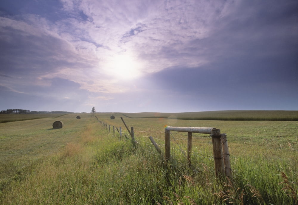 Fence And Hay Field Near Water Valley Alberta Canvas Art - Darwin Wiggett Design Pics (32 x 22)