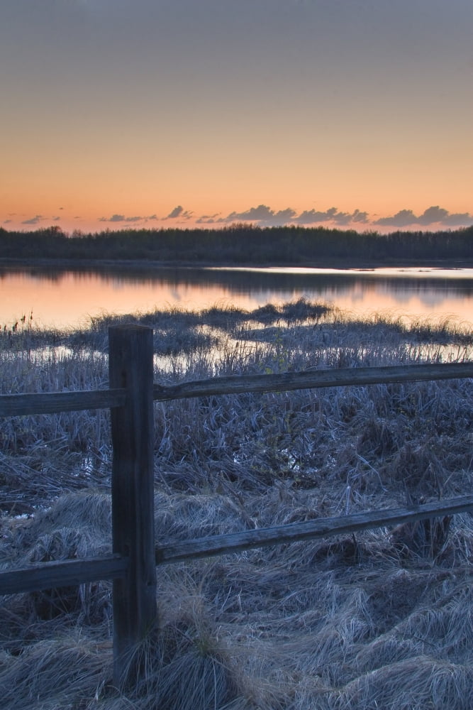 Fence By Lake At Sunset Canvas Art - Eryk Jaegermann Design Pics (11 x 17)