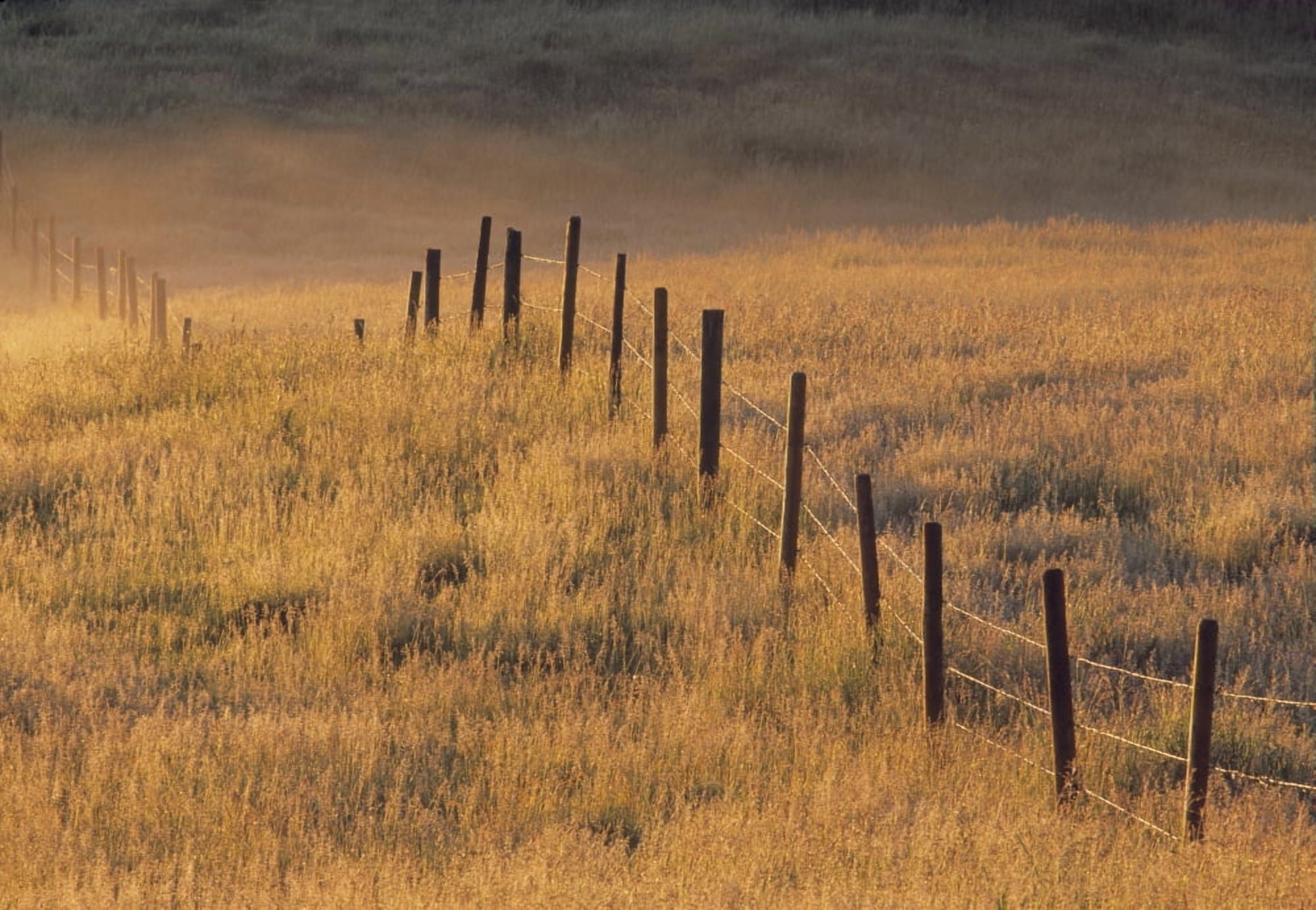 Fence In Pasture Near Cochrane Alberta Canada Canvas Art - Darwin Wiggett Design Pics (32 x 22)